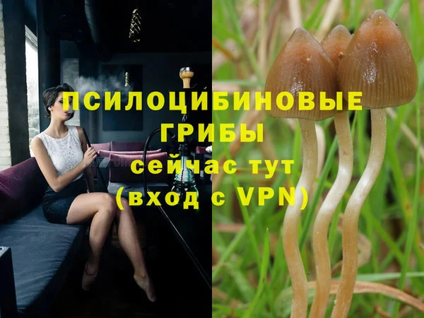 мдпв Волосово