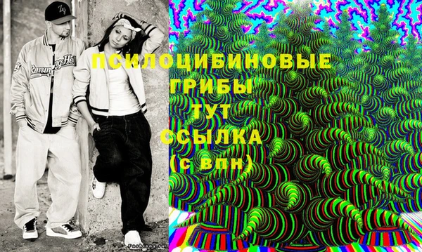 мдпв Волосово