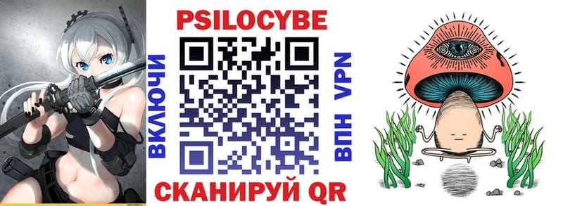 Галлюциногенные грибы прущие грибы  МЕГА   Чудово 