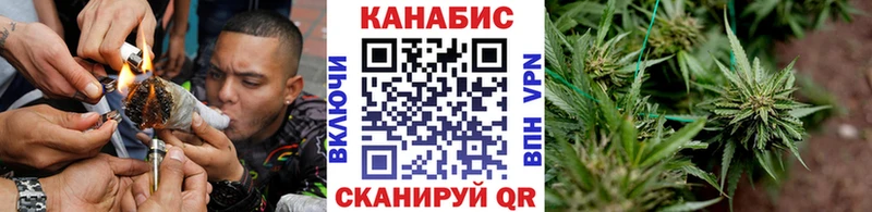 Канабис White Widow  Чудово 